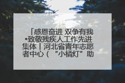 感恩奋进 双争有我•致敬残疾人工作先进集体丨河北省青年志愿者中心（“小橘灯”助残接力计划实施团队）：用温暖陪伴，守护特殊孩子成长